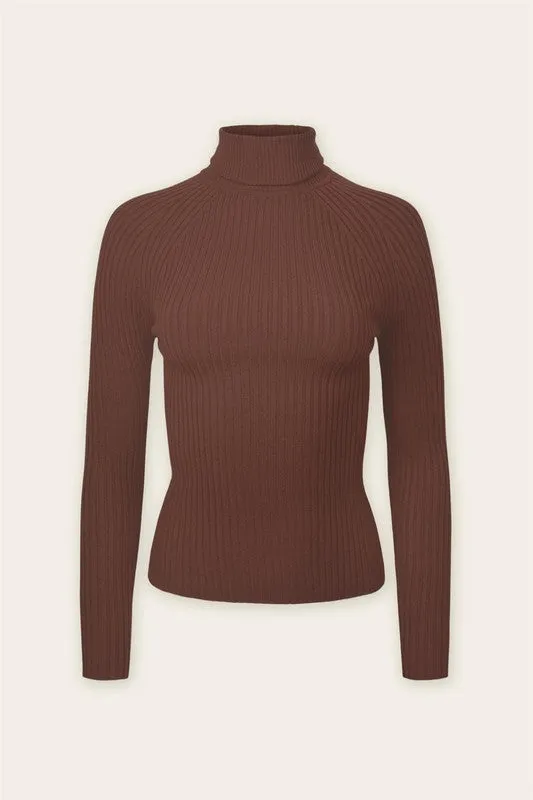 Turtleneck Long Sleeve Sweater